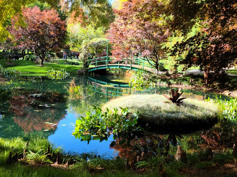 Educational Botanical Experience