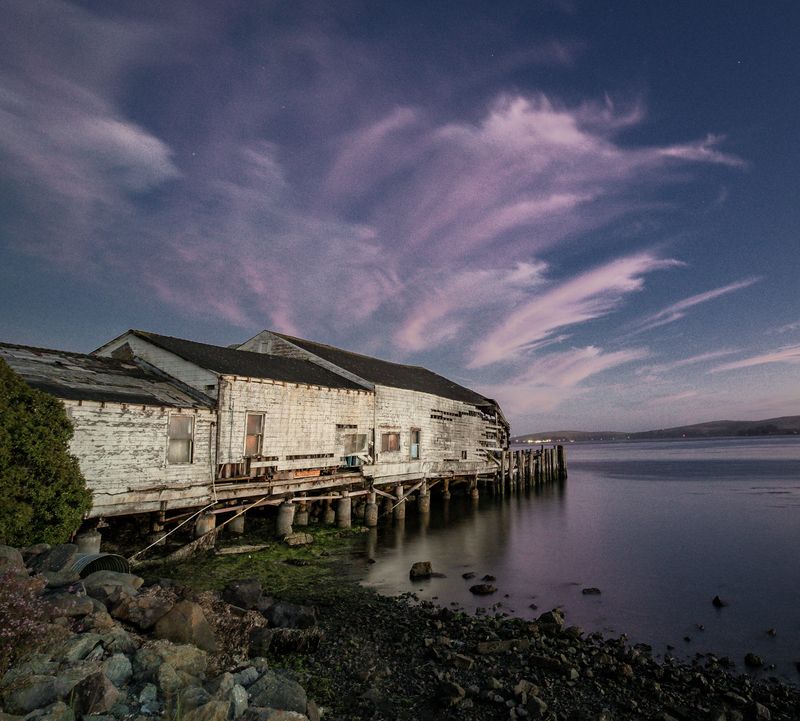 Hitchcock's Birds Made This Town Famous