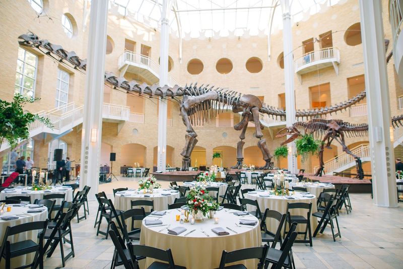 Step Into The Land Of Giants At This Incredible Atlanta Georgia Museum That Houses The World's Largest Dinosaurs - Decor Hint Special Events and Fernbank After Dark
