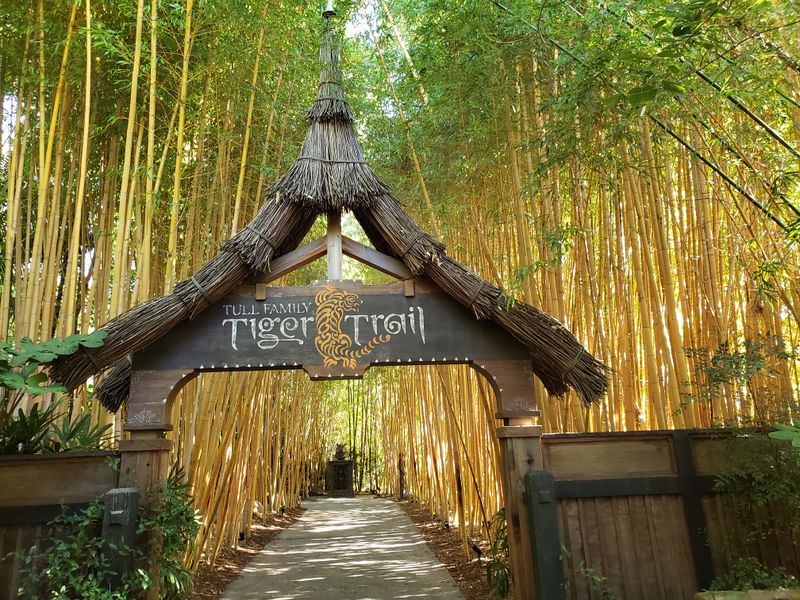 Walking Trails Wind Through Multiple Ecosystem Representations