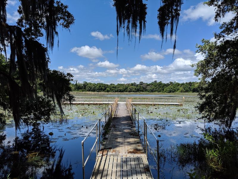 Birdwatching Paradise for Nature Enthusiasts