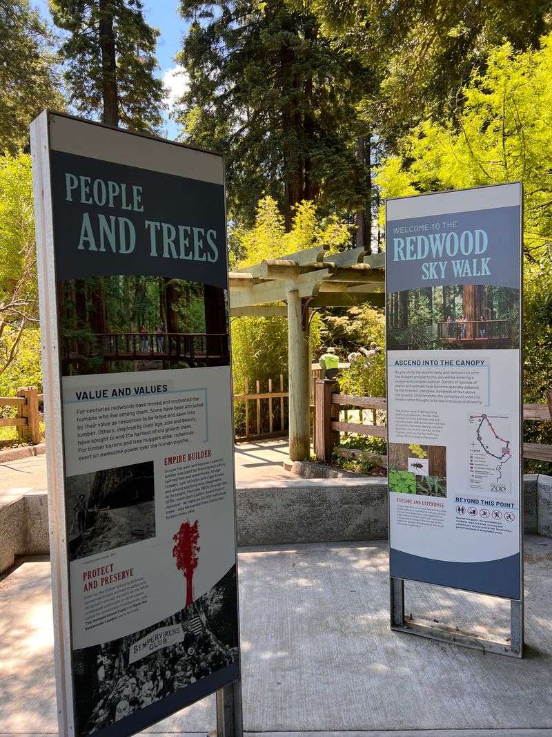 This California Sky Walk Lets You Stroll High Above Towering Redwoods On Valentine's Day - Decor Hint Educational Signage Throughout The Journey