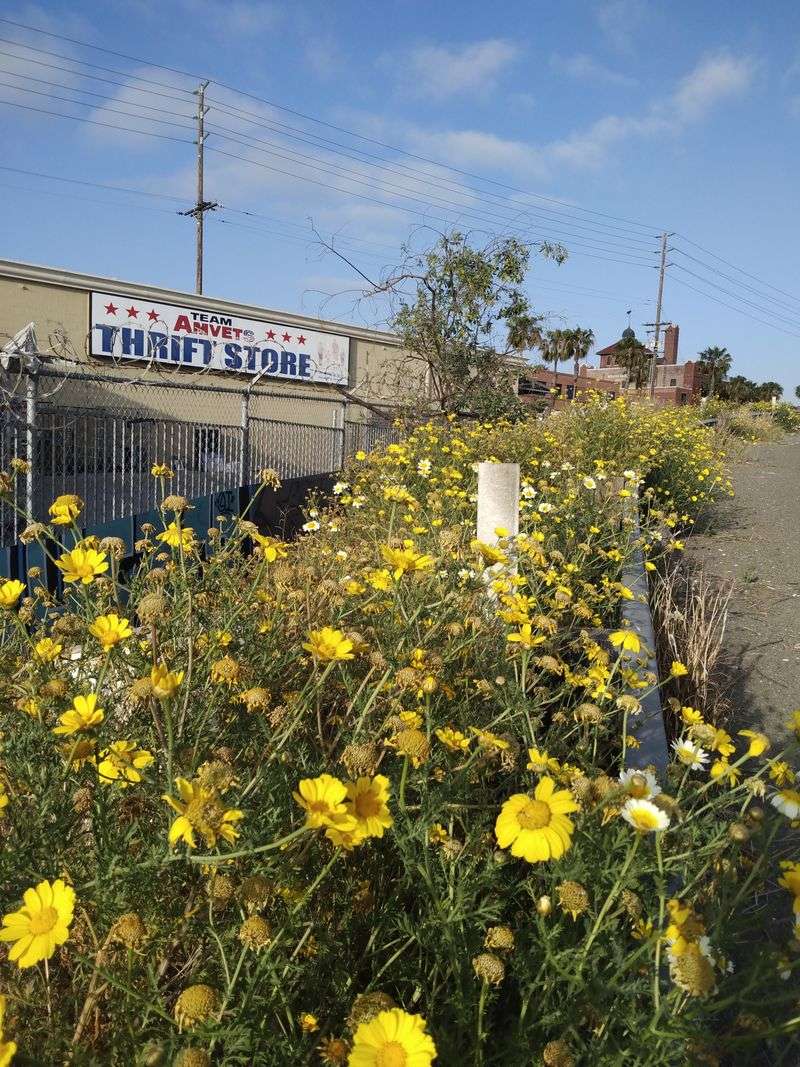 These Enormous California Thrift Shops Turn A Road Trip Into A Treasure Hunt - Decor Hint AMVETS Thrift Store (San Diego)