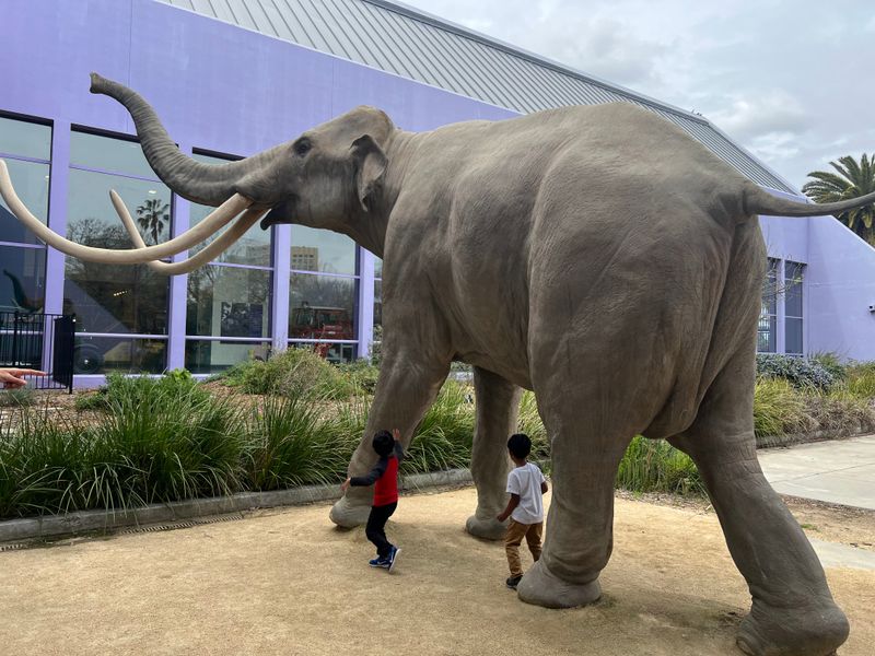 These 23 Northern California Museums Are Free To Visit This February For Museums-For-All - Decor Hint Children's Discovery Museum Of San Jose