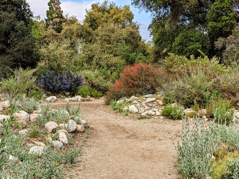California Botanic Garden