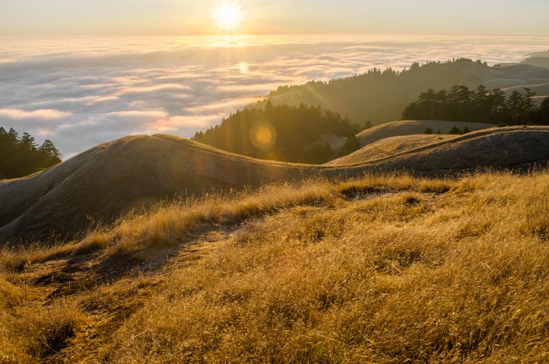 Mount Tamalpais