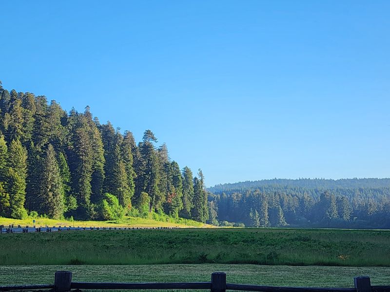 Yurok Ancestral Lands And Cultural Heritage