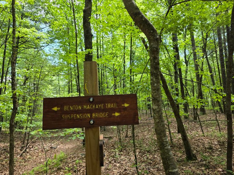 This Is Where You'll Find Georgia's Longest Swinging Bridge Hanging Suspended Over A Pristine River - Decor Hint Hiking Trails That Connect to Bigger Adventures