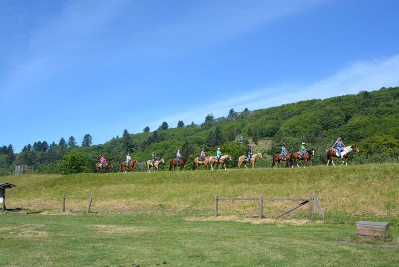 Community Spirit & Rural Culture