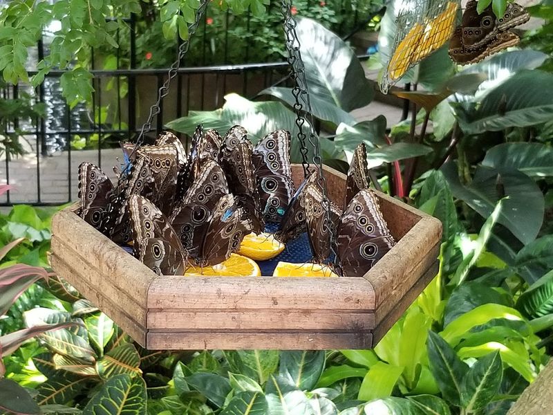 Supporting Local Conservation Means the Visit Gives Back