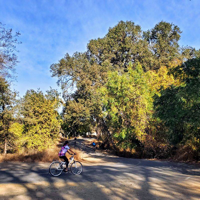 Safe Paved Surface For All Skill Levels