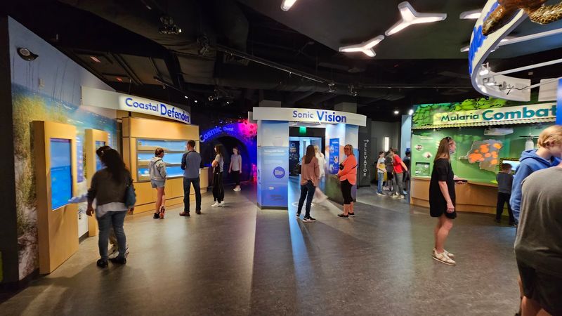 Science On Stage Live Programs - Decor Hint