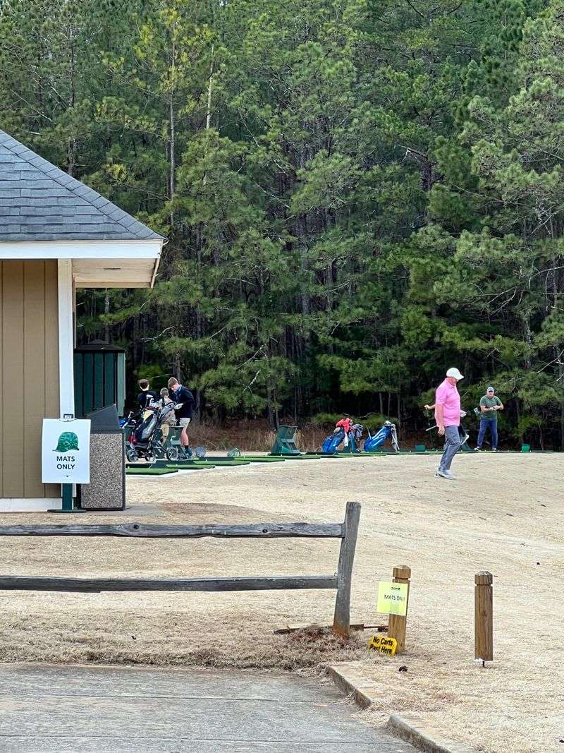 The Playground Where Children's Laughter Echoes