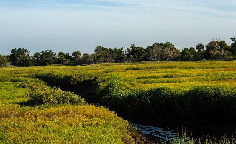 Little St. Simons Island