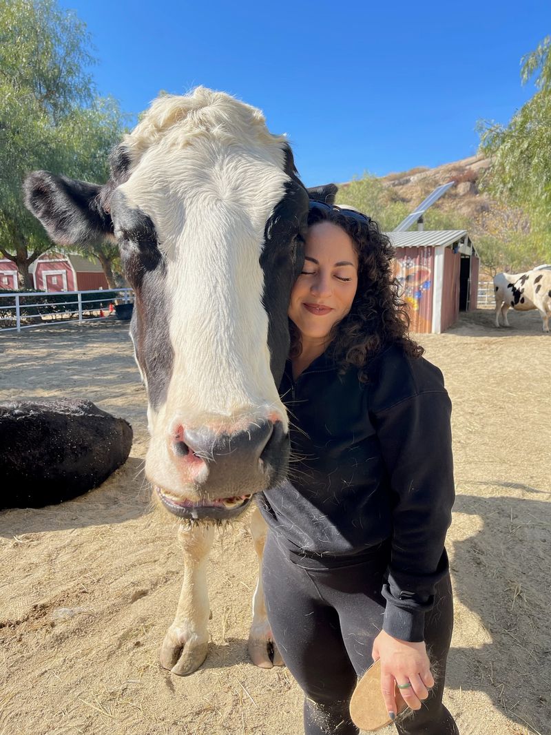 Plant-Based Living Education And Advocacy