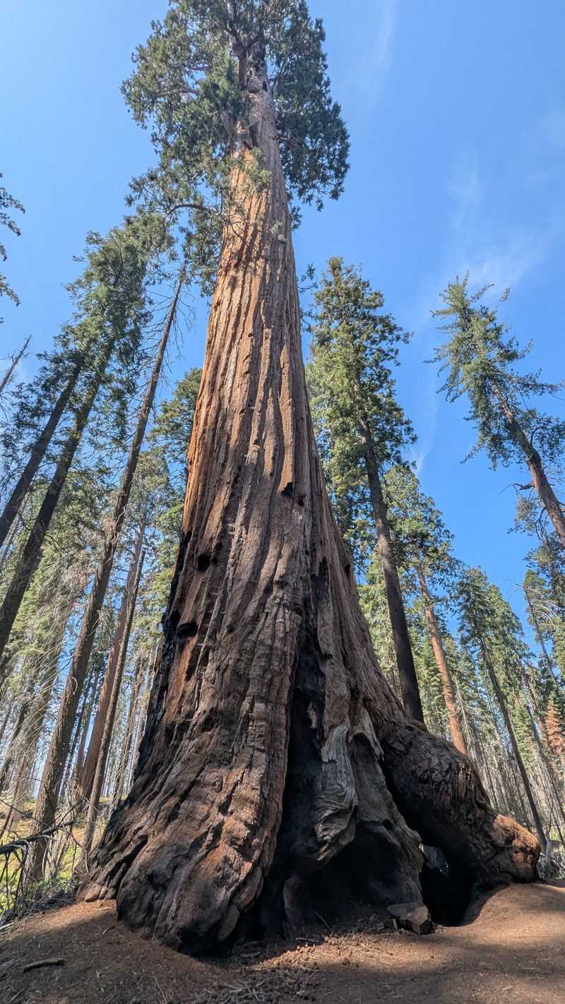 This Half-A-Mile California Hike Feels Almost Too Beautiful To Be Real - Decor Hint Wildlife And Natural Features Along The Route