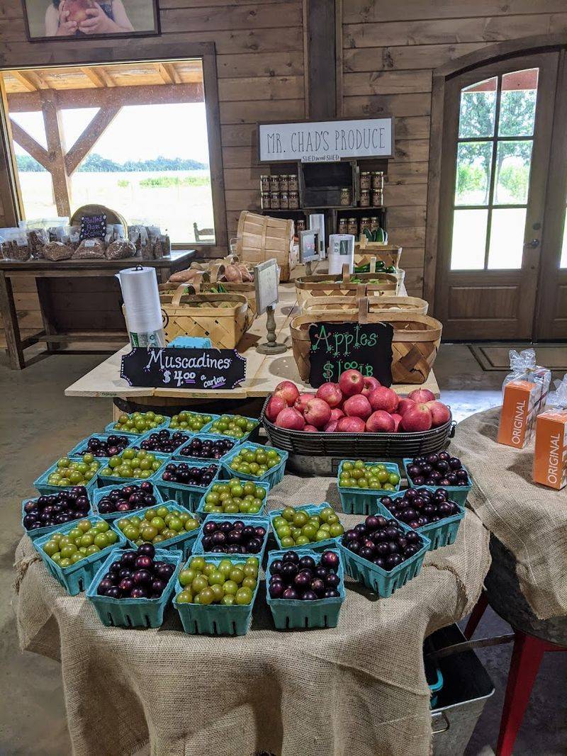The Search for Georgia's Best Peach Ice Cream Might Just End At This Roadside Shed - Decor Hint Supporting Local Agriculture With Every Purchase