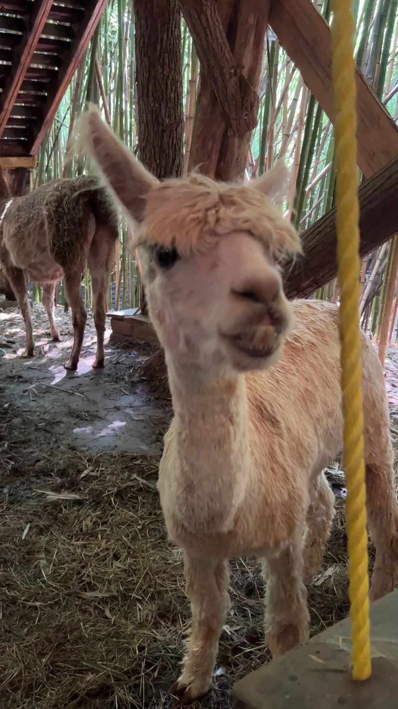 Photography Paradise for Social Media