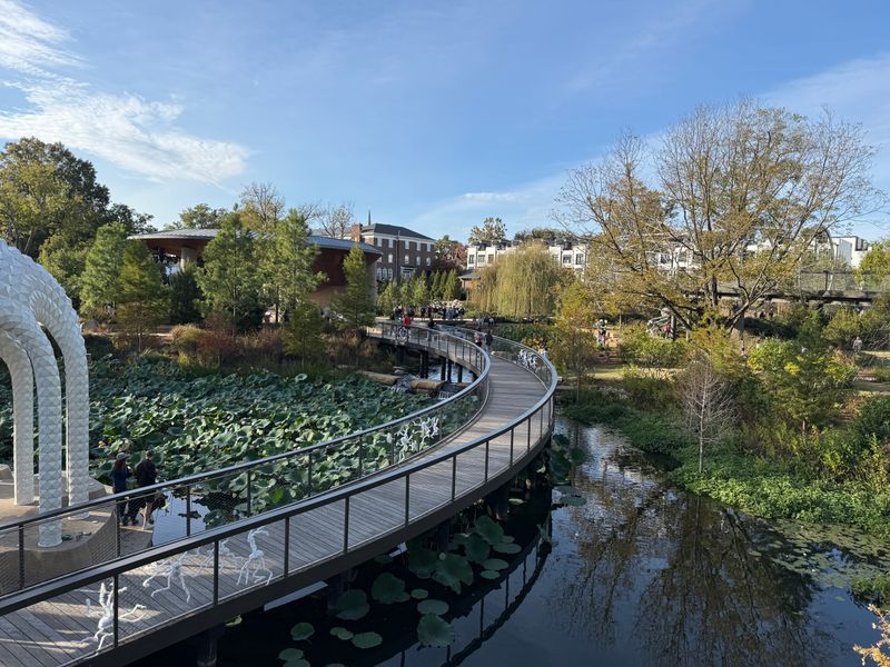 Integration With Downtown Cary Park Layout