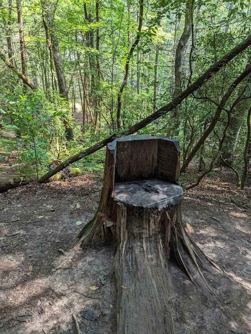 This Is Where You'll Find Georgia's Longest Swinging Bridge Hanging Suspended Over A Pristine River - Decor Hint Blue Ridge, Georgia: A Perfect Home Base Nearby