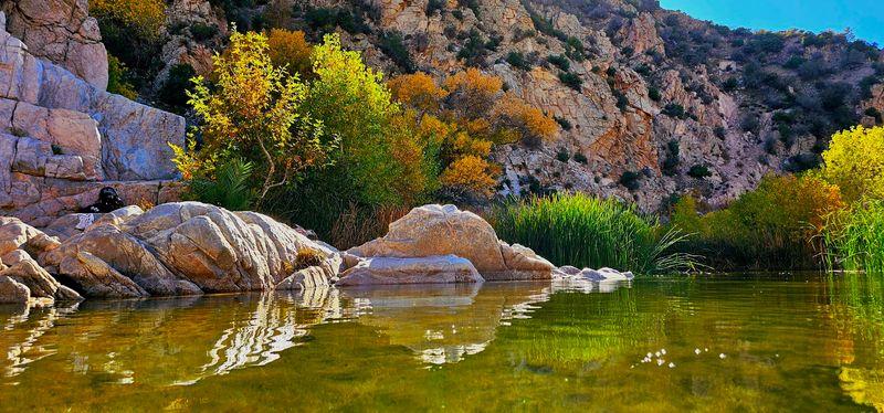 No Overnight Camping At The Springs