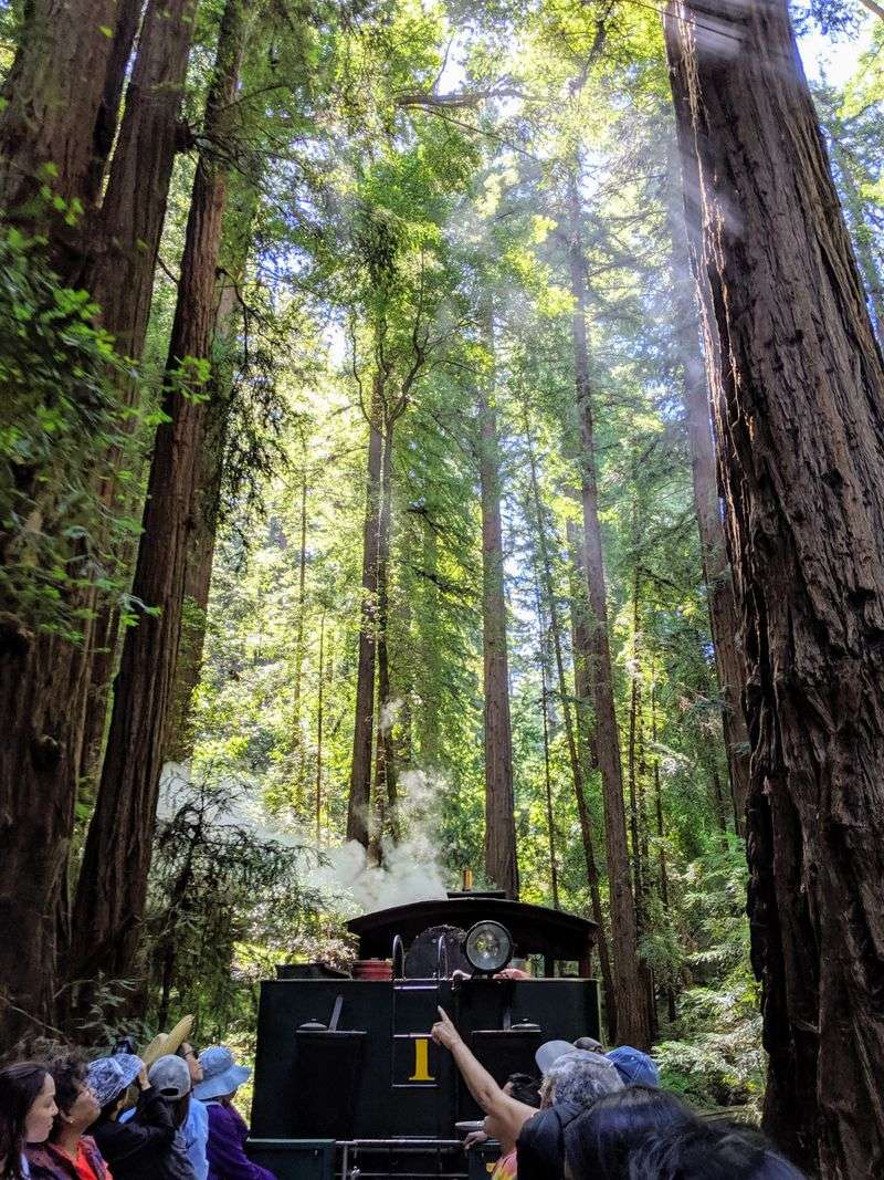 This Vintage Train Ride Through California Feels Like Traveling Back In Time - Decor Hint Educational Narratives From Knowledgeable Conductors