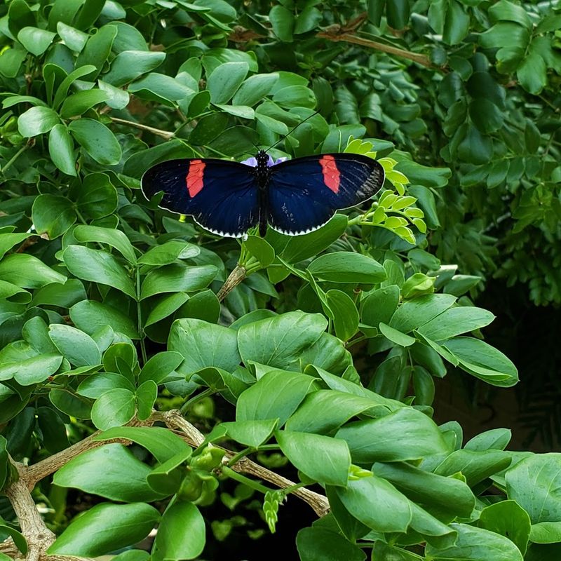 Photography Opportunities That Are Genuinely Hard to Replicate