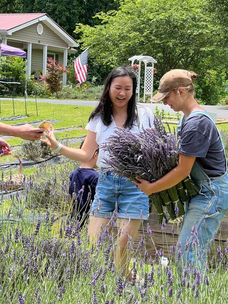 Support For Local Agriculture And Sustainability