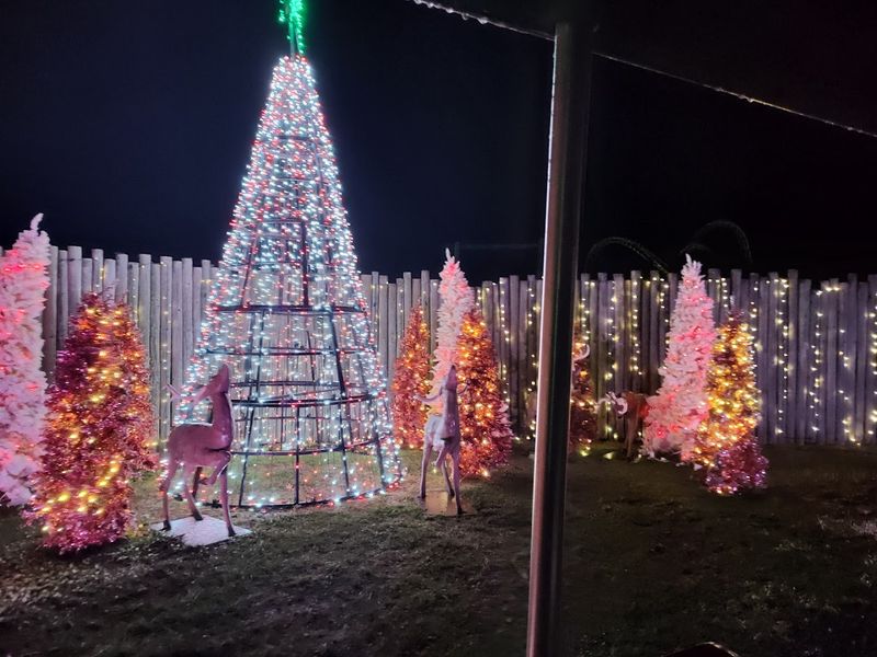 This Thrill-Packed Theme Park Wild Adventures Georgia Is A 2026 Must-Visit - Decor Hint Affordable Admission and Season Pass Options