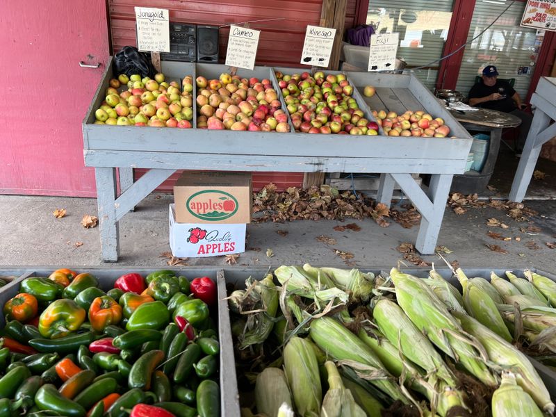 Farm-to-Table Dining Experiences