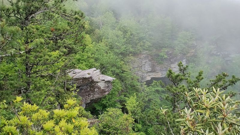 A North Carolina Overlook That Feels Like The Top Of The World - Decor Hint Wildlife Observation Area