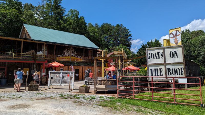 Authentic Roadside Americana Experience