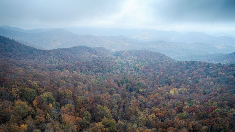 Scenic Mountain Drives