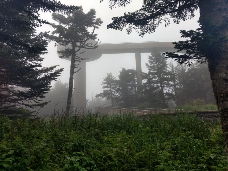 Fog-Shrouded Mystery That Creates Magic