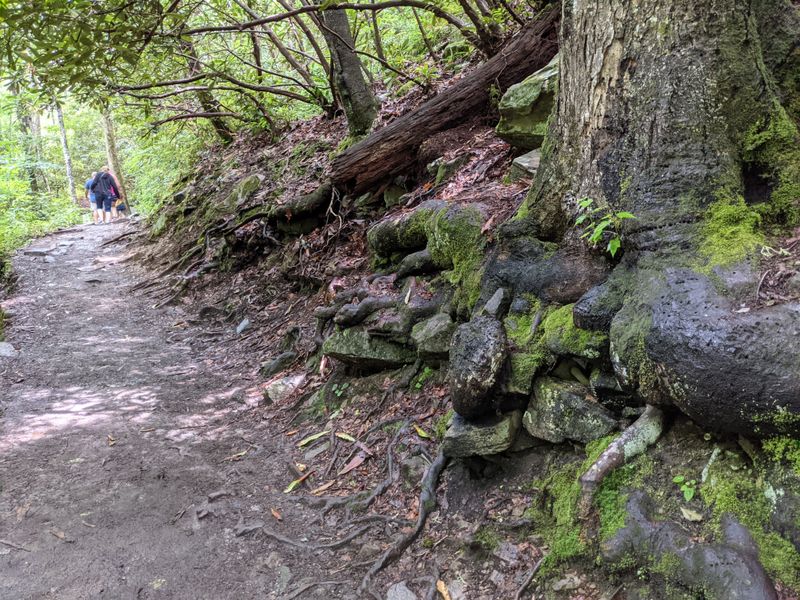 This North Carolina Stairway Trail Turns Into A Spring Wonderland - Decor Hint Dog-Friendly With Practical Considerations