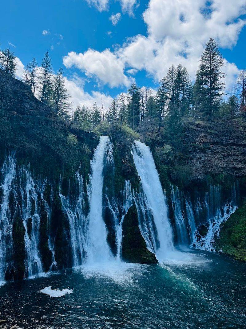 Species Of Special Concern Status