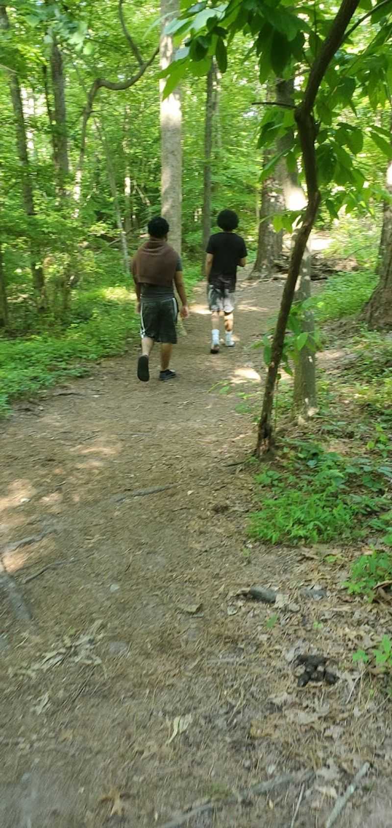 Practical Tips for Planning Your Visit