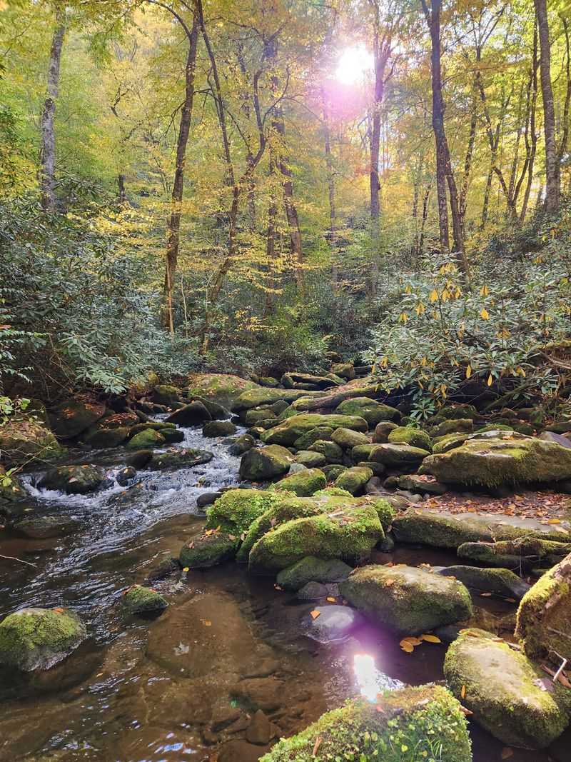 Photography Paradise For All Skill Levels