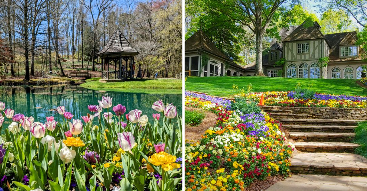 See Over 20 Million Daffodils Bloom At This Breathtaking Garden Paradise In Georgia - Decor Hint