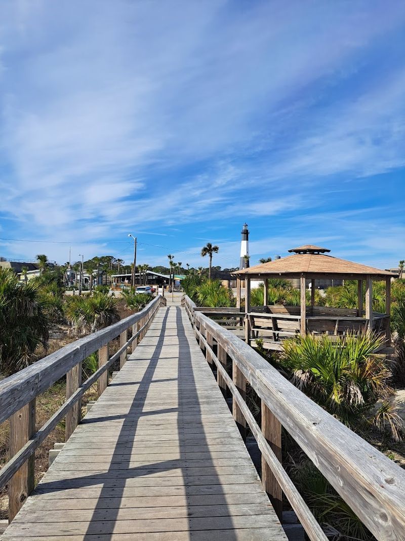 Wildlife Observation Opportunities