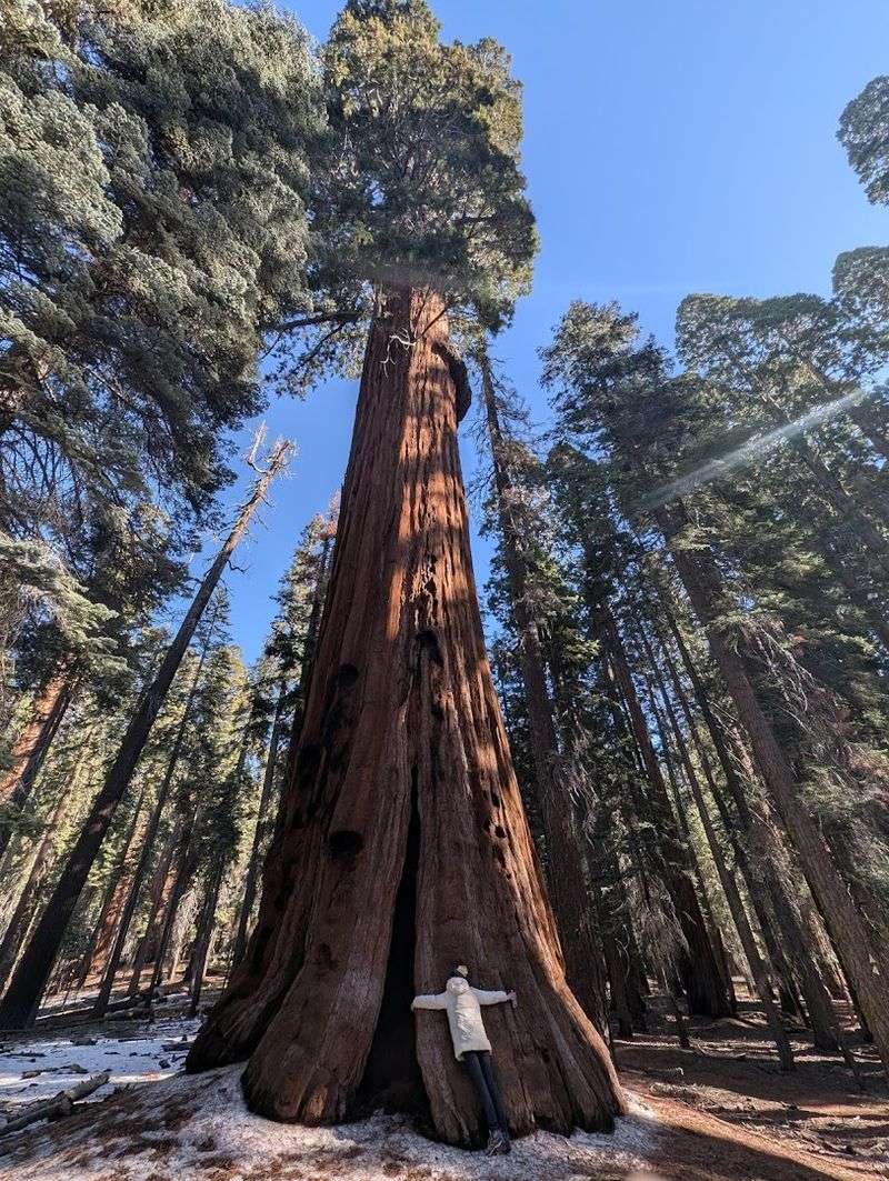 Kings Canyon National Park