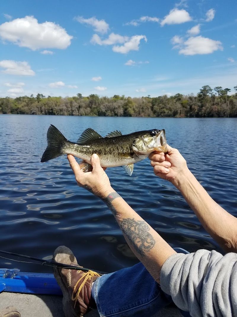 Perfect Fishing Opportunities for All Skill Levels