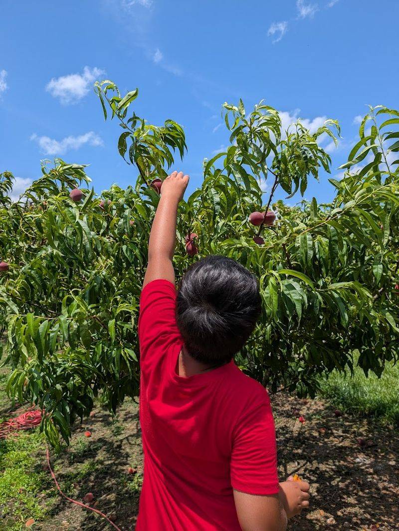 Cash Or Check Payment Only