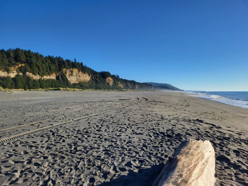 Gold Bluffs Beach And Mining History