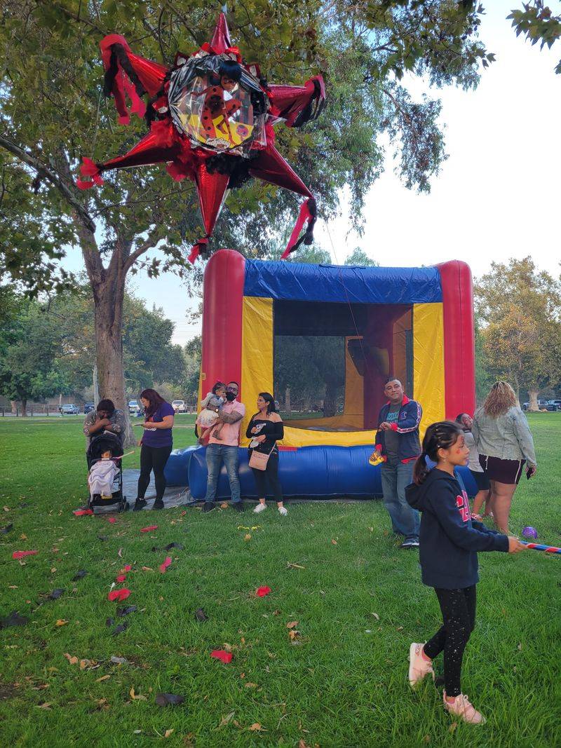 Family-Friendly Picnic Spaces
