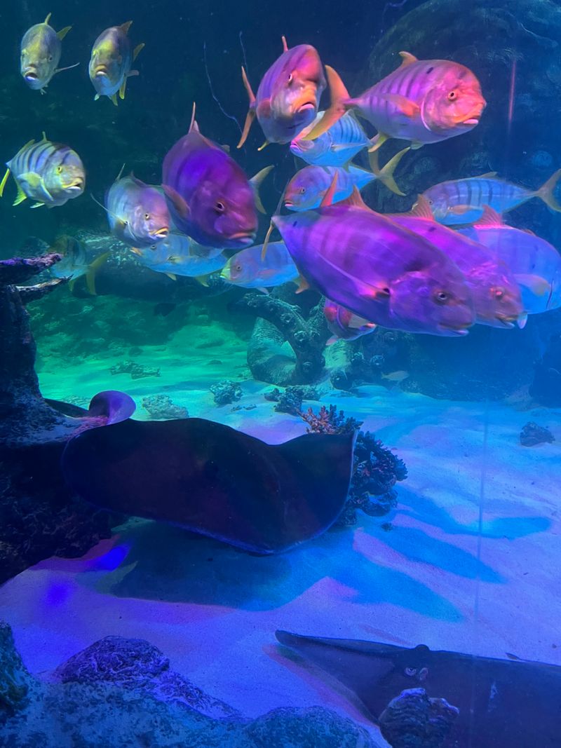 Touch Pool To Tunnel: Building The Awe