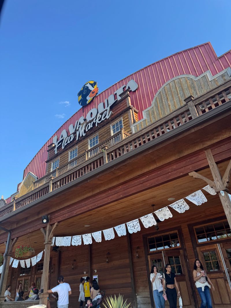 Community Atmosphere and Cultural Experience