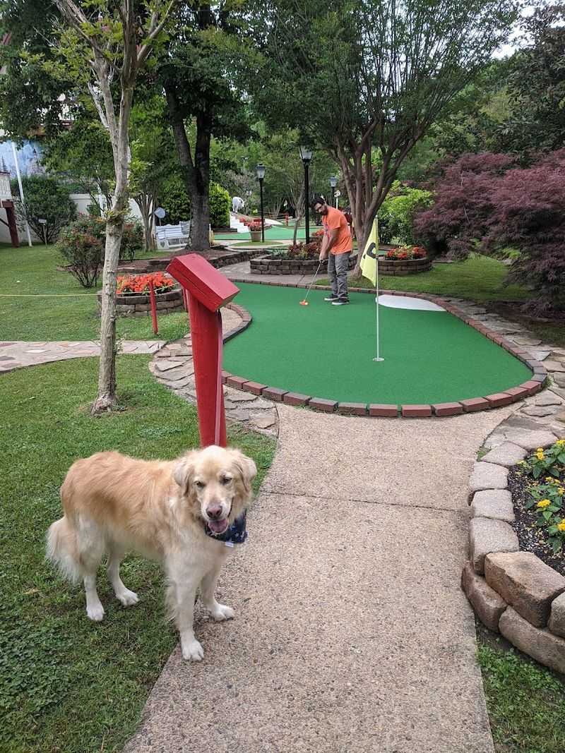 Smithgall Woods State Park Offers World-Class Trout Fishing