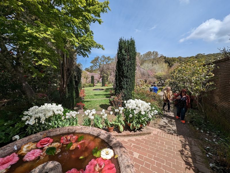 Spring Bulbs Transform The Landscape