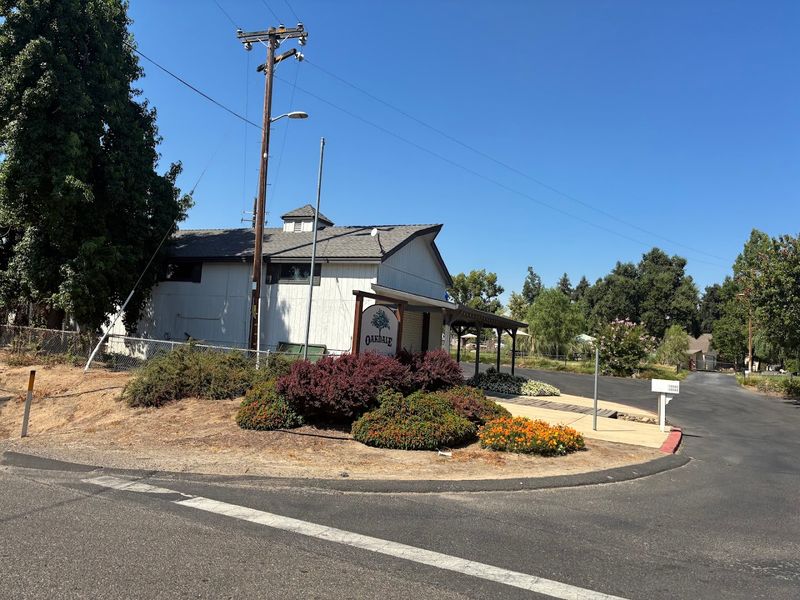 This California Flower Farm Reopens In February And It Is Pure Bloom Overload - Decor Hint Oakdale Location In Central Valley